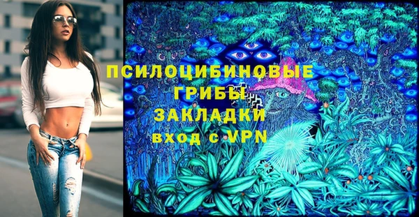 твердый Алзамай