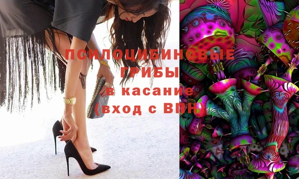 твердый Алзамай