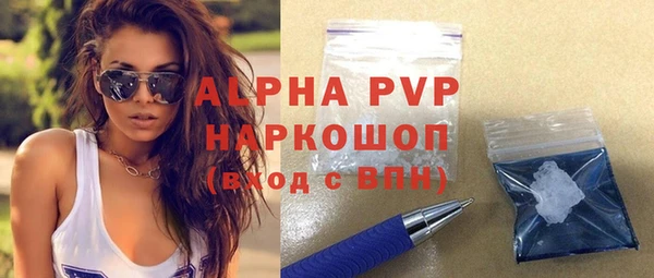 индика Нефтегорск