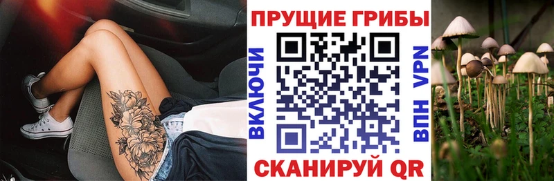 Галлюциногенные грибы ЛСД Нытва